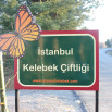 İstanbul Kelebek Çiftliği