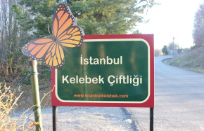 İstanbul Kelebek Çiftliği