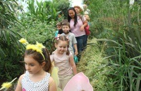 Kelebeklerle buluşma 3